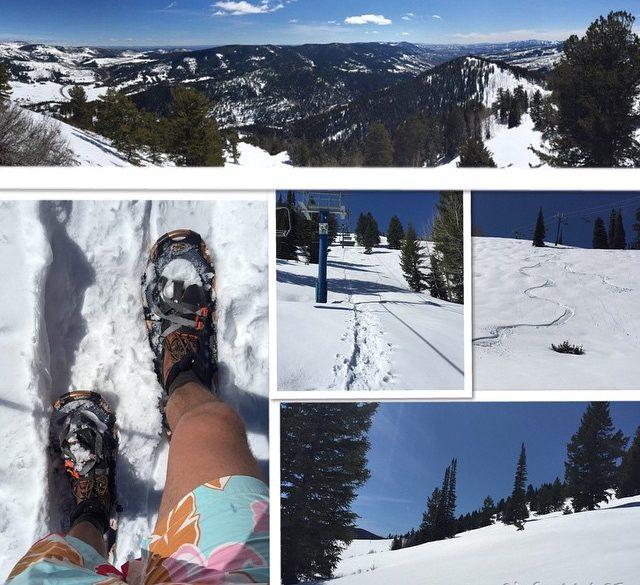Beaver mountain is closed… But that shouldn’t stop you from hiking up! Fresh snow on a perfect spring day. All you lazy butts are missing out! #chubbies #skithebeav #earnyourturns🏂🌲⛄️☀️