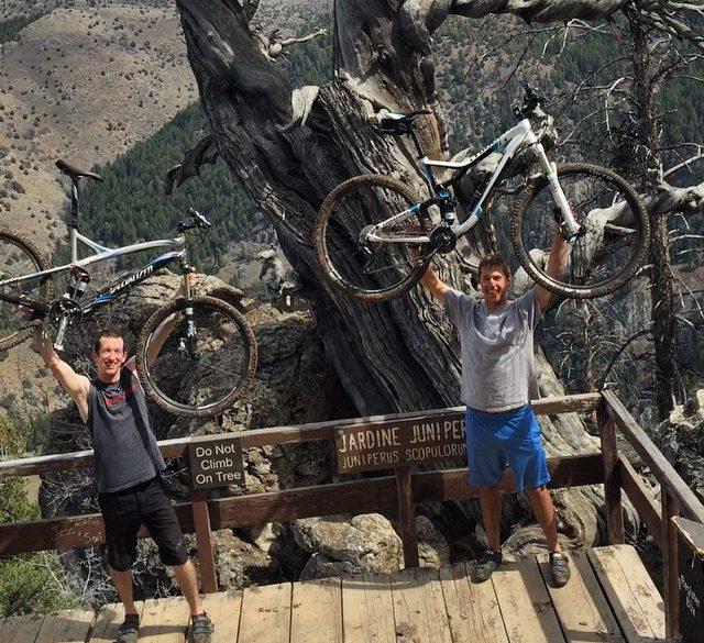 Made it to the top or jardine juniper today! 1500 year old tree chillin at the top 🌲 #bikeutah #jardinejuniper