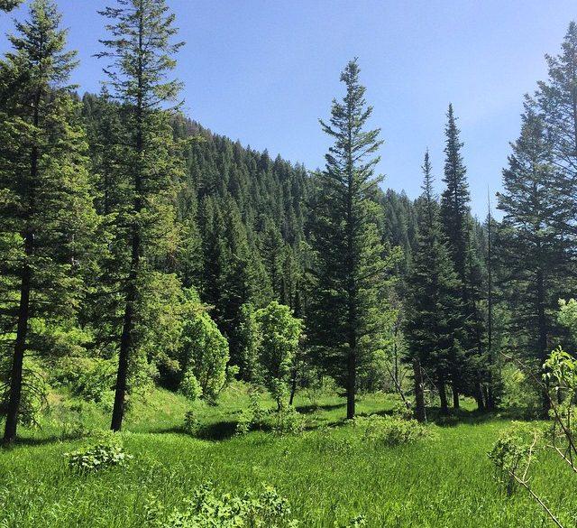 Happy 🌎 earth day everyone! #earthday