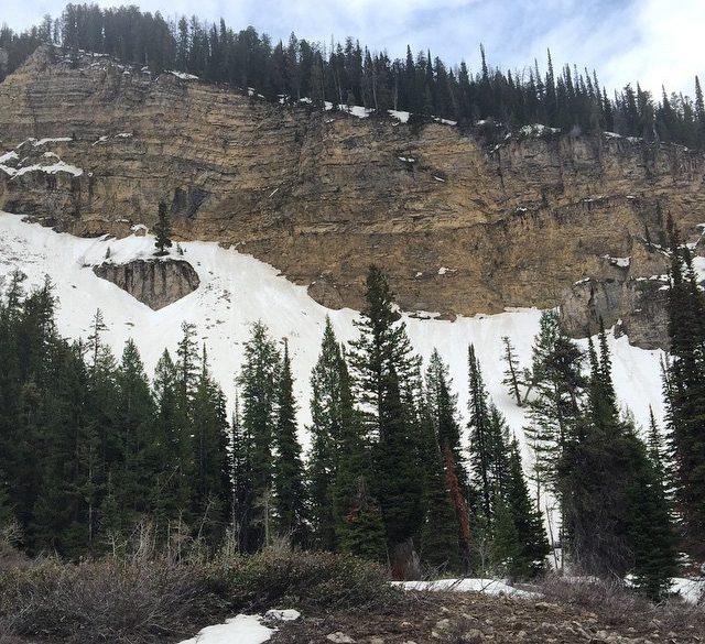 Went for a little bike ride today. Made it to about 8100ft elev before the snow was too much to bear. I’ll get to logan peak eventually! Might have to wait a month. Otherwise a good ride! I clocked 4800ft of vertical over a 17 mile distance.