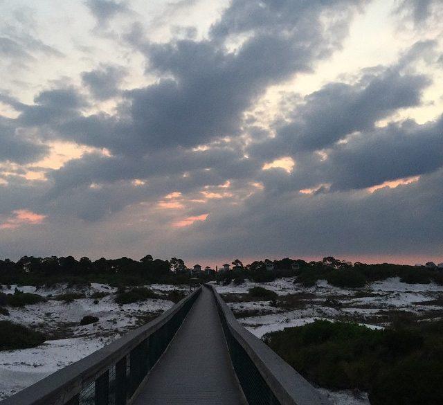 Good morning Florida and Goodbye! Back to California. It was fun while it lasted. Peace out ✌🏼 #nofilter
