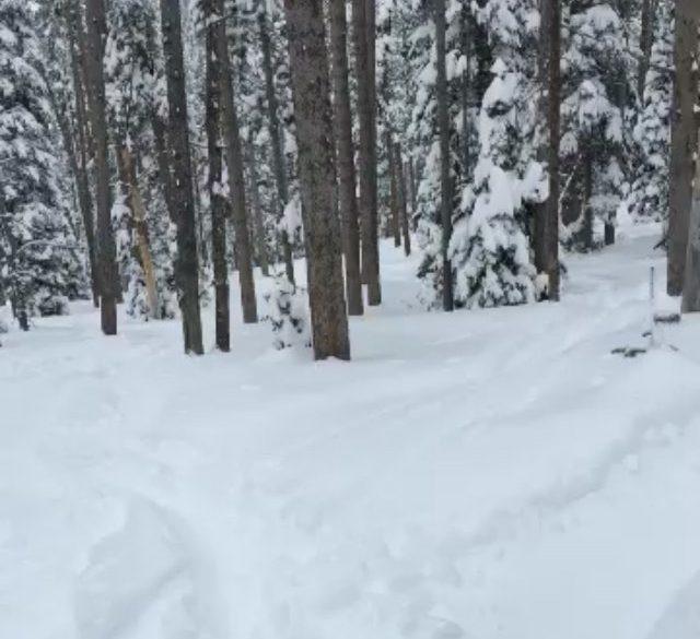 It’s been two weeks since I’ve used my park board. This has been a good winter  #skithebeav #day19