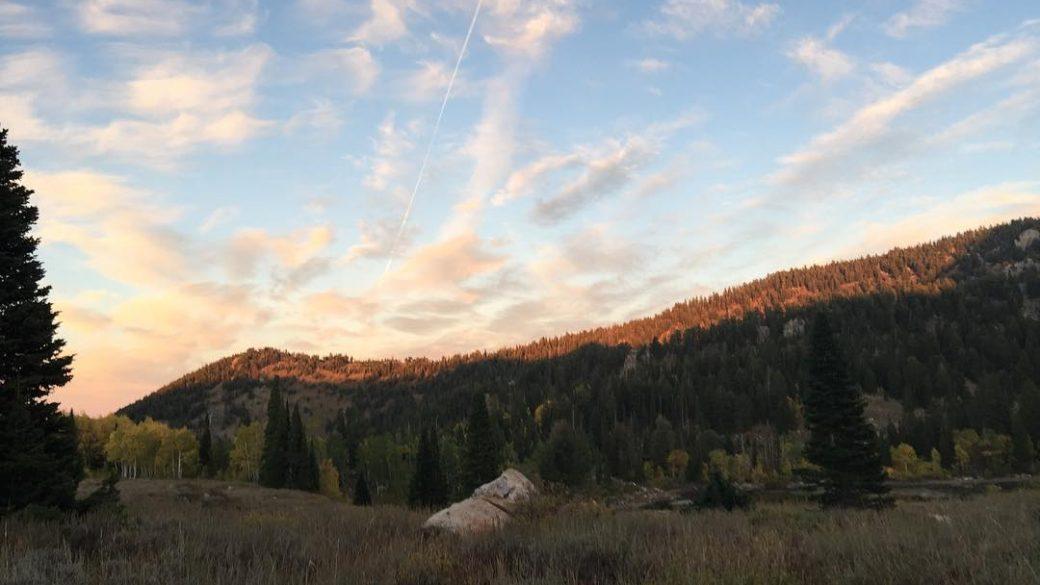 Can it be summer already? #utahgram #actuallyidaho