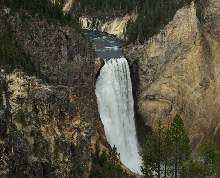 Few days late, but happy 100th anniversary National Park Service.  Also, Yellowstone definitely does not disappoint ⛺️