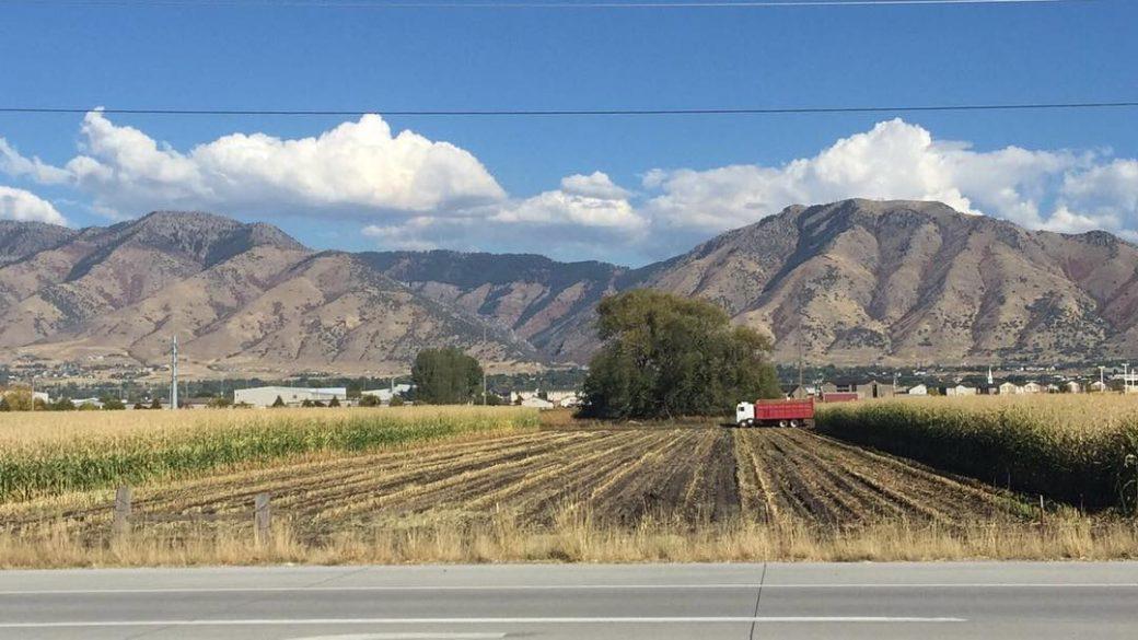 Harvest time 🌽 #beUtahful #utahgram