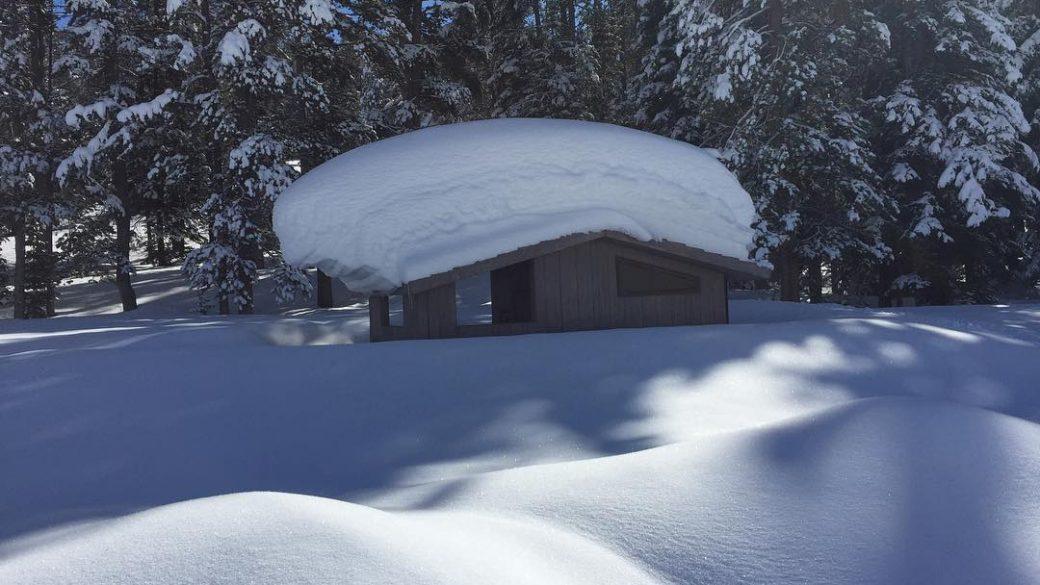 Lots of snow deep in the forest!