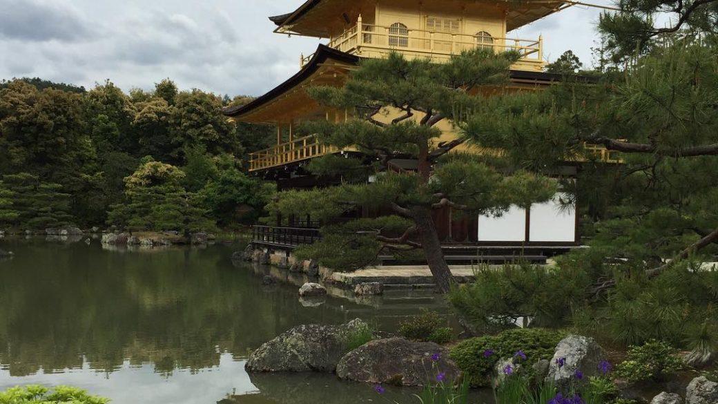 The golden temple is about 1000 times more beautiful in person