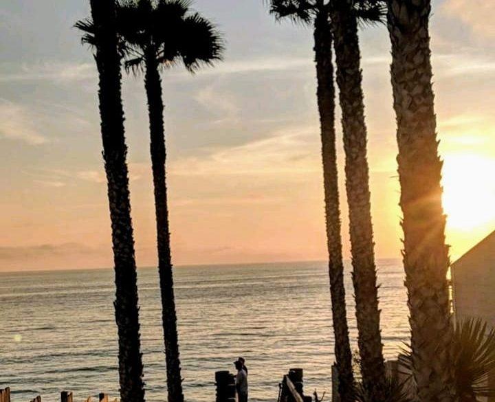 Nights like these are a reminder of why I moved back to California. And also a reminder of how fortunate I am to live here ♥️🏄