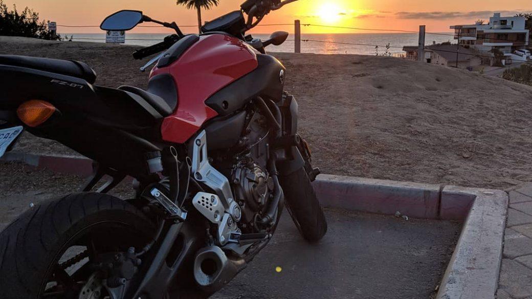 Summer nights