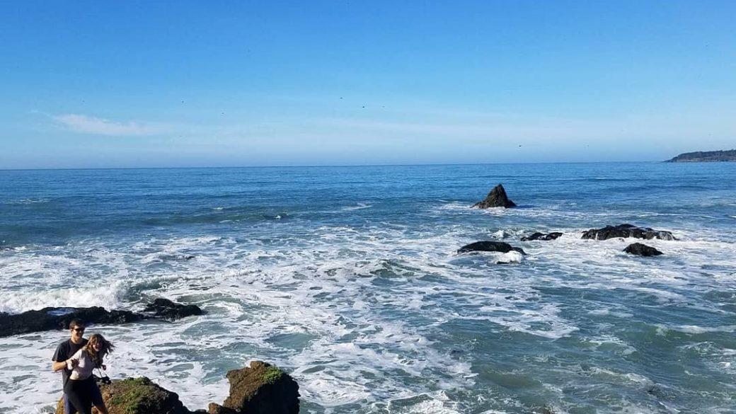 Ventura, Santa Barbara, Pismo Beach, San Luis Obispo, Paso Robles, Big Sur, Monterey. Lots of places for a three day weekend. Everything was so green with all the rain!