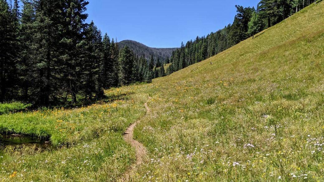 Weekend post part 2. Beating the heat with a 17 mile hike on Mt Baldy loop trail. 9,000-11,000 ft elevation kept things nice and cool. Finished with a trip to four peaks brewing for some tasty AZ brews🍺