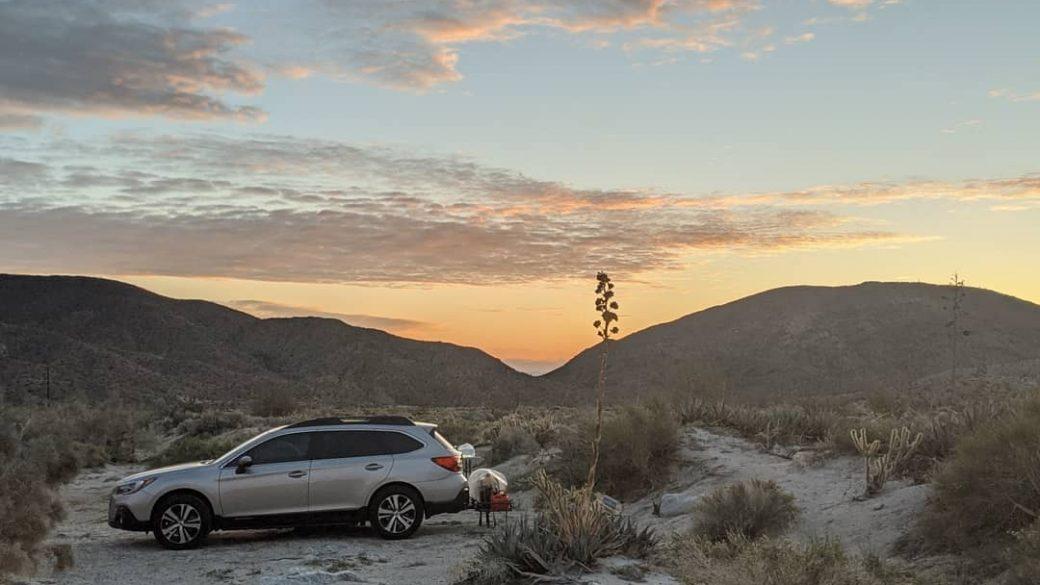 California quarantine ain’t so bad 🏜️🏕️🌺