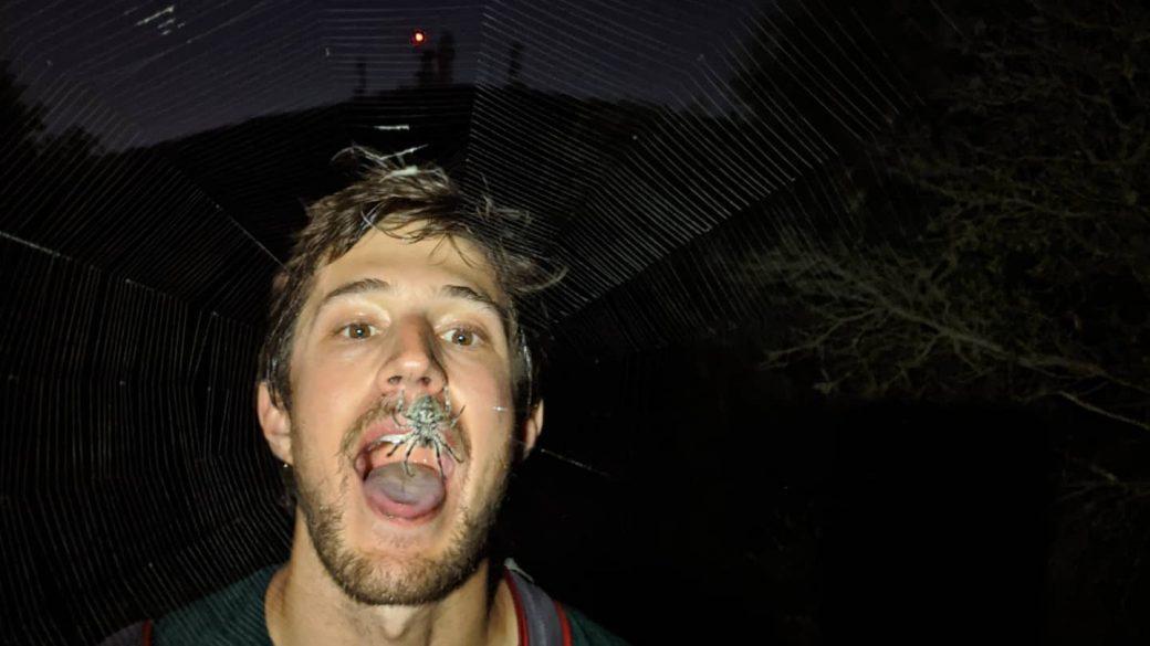 All the creepy crawlies come out at night 👻🕷️