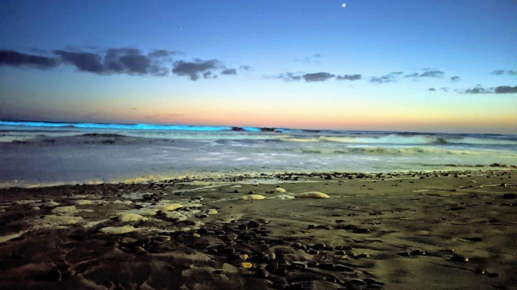 Bioluminescence isn’t quite over 🌊