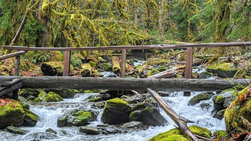 This place feels …magical. These are just a few photos taken on my smartphone. Entering this forest was like entering a world I had never seen before.
